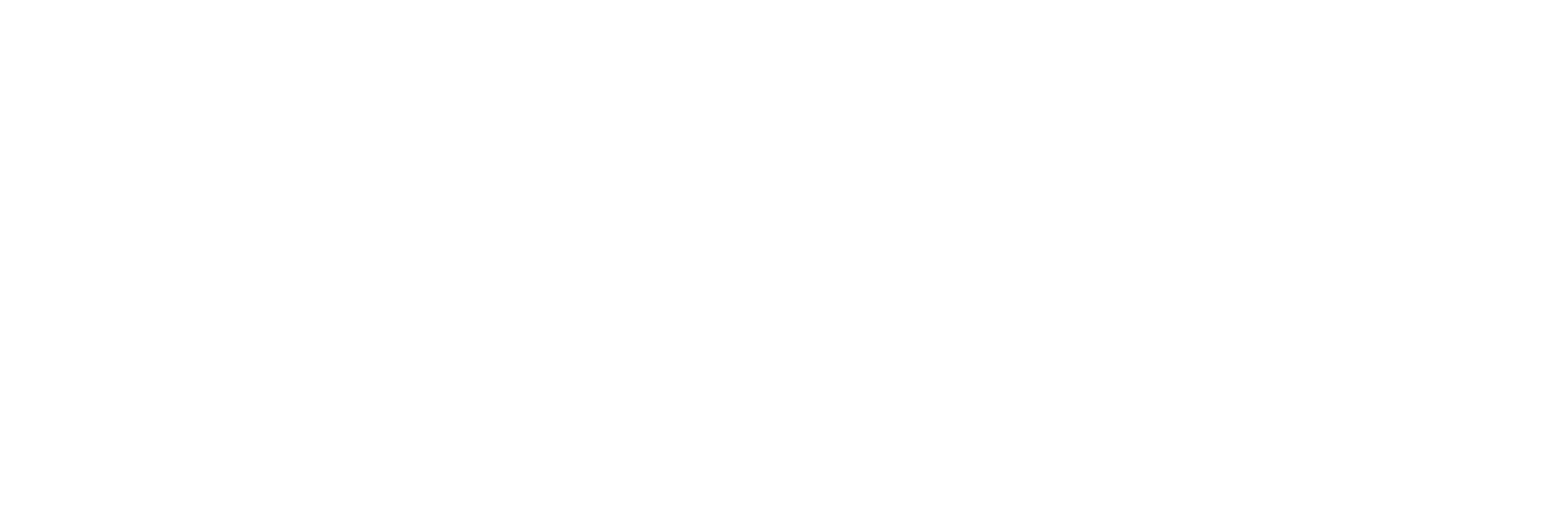 Bull City Blue Logo Horz Wht